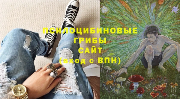 мяу мяу мука Армянск