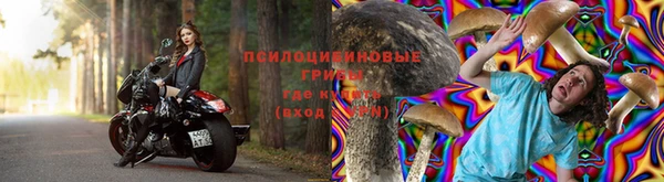 мяу мяу мука Армянск