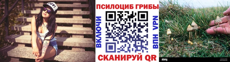 гидра сайт Пошехонье Псилоцибиновые грибы мухоморы где купить наркоту